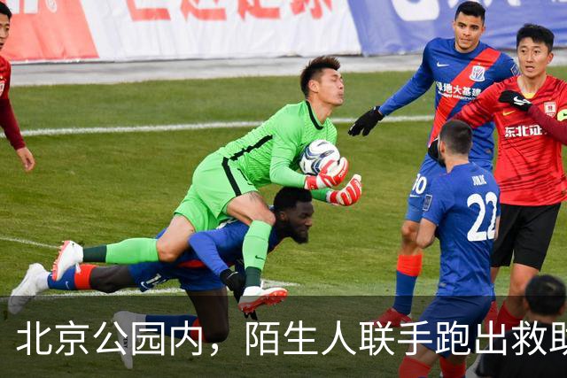 北京公园内，陌生人联手跑出救助生命的通道