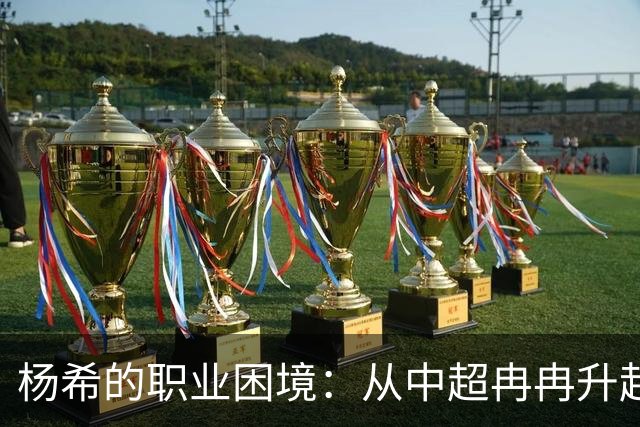 杨希的职业困境：从中超冉冉升起的巨星难再留洋